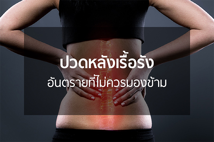 Backsupport2
