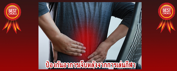 Backsupport9
