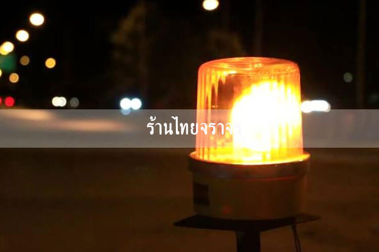 roadspike6