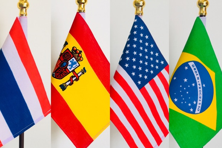 flagpole2