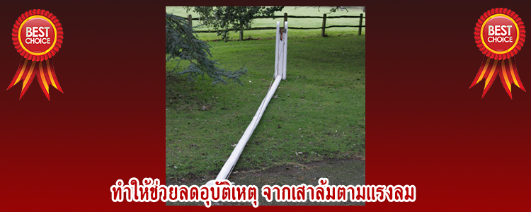 flagpole2