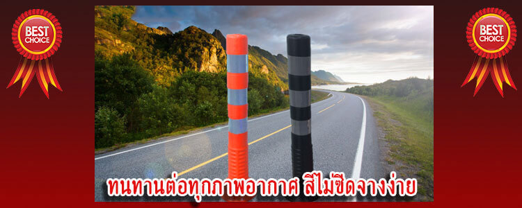 flexiblepost6