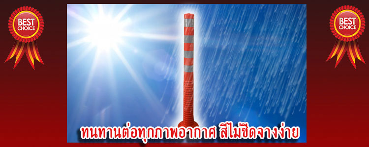 flexiblepost6
