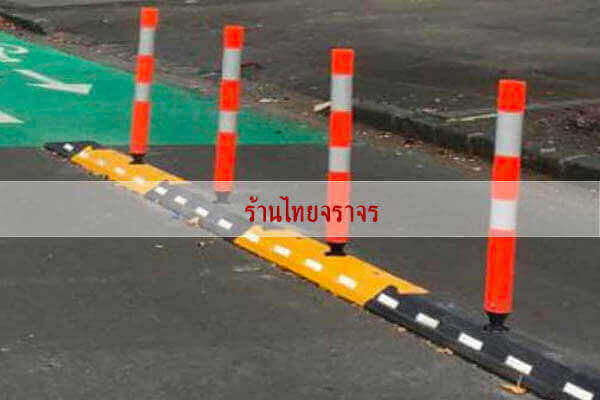 flexiblepost21