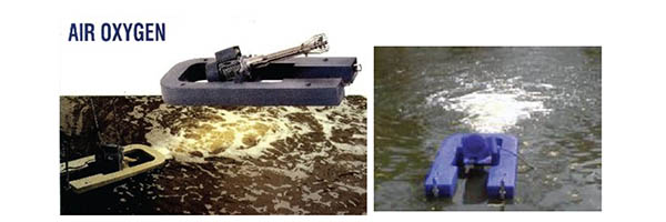 floating dock2