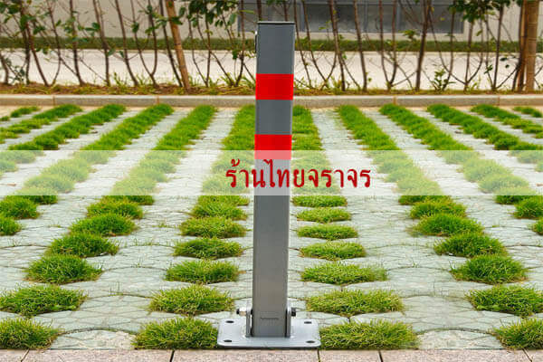 parkinglock9