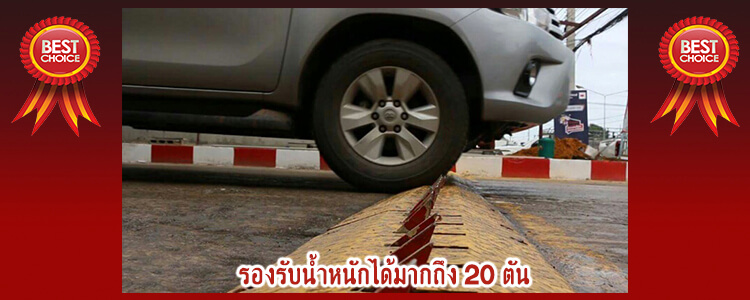 roadspike7