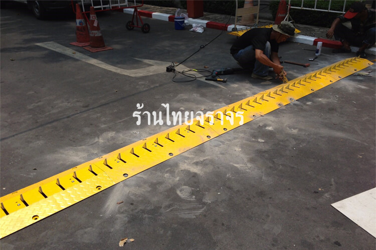 roadspike9