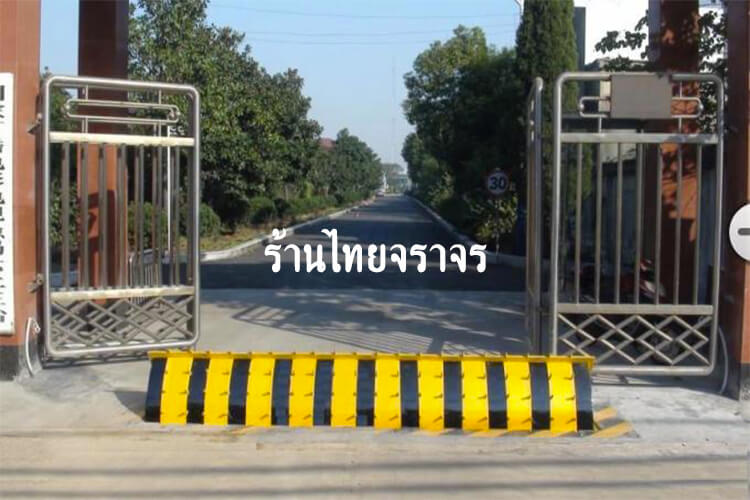 roadspike9