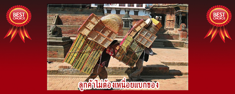 shoppingcart11